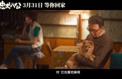 2023中国版《忠犬八公》下载百度云网盘免费完整版[1080p高清HD]阿里云盘