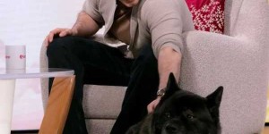 活动丨亨利·卡维尔带狗狗在伦敦录制节目，狗狗也太可爱了吧！