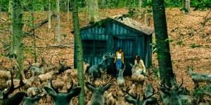 电影《断网假期》导演Sam Esmail澄清了电影中神秘而威胁的鹿群的含义