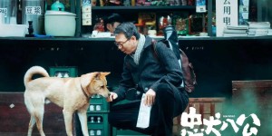 中国版忠犬八公百度网盘【HD1280P-MKV国语中字】完整版迅雷资源下载