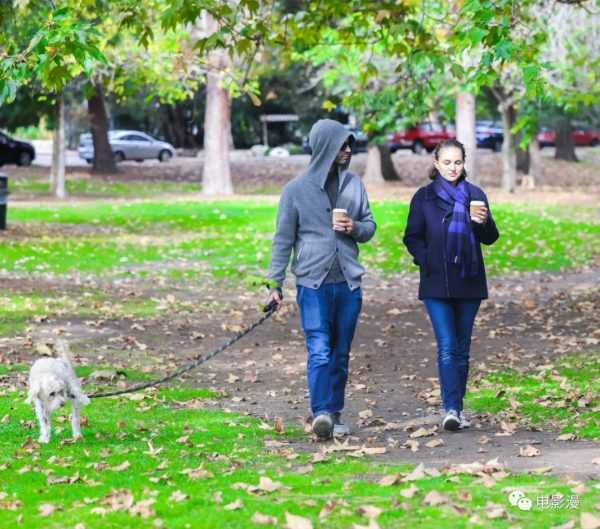 街拍丨娜塔莉·波特曼和老公本杰明在洛杉矶街头散步遛狗-插图