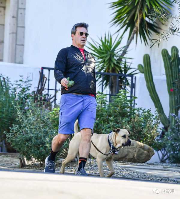 街拍丨乔恩·哈姆在洛杉矶街头遛狗，狗子镜头感很强-插图6