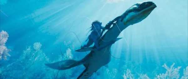 终于来了！《阿凡达2》发布首支预告！开启全新水中世界-插图3
