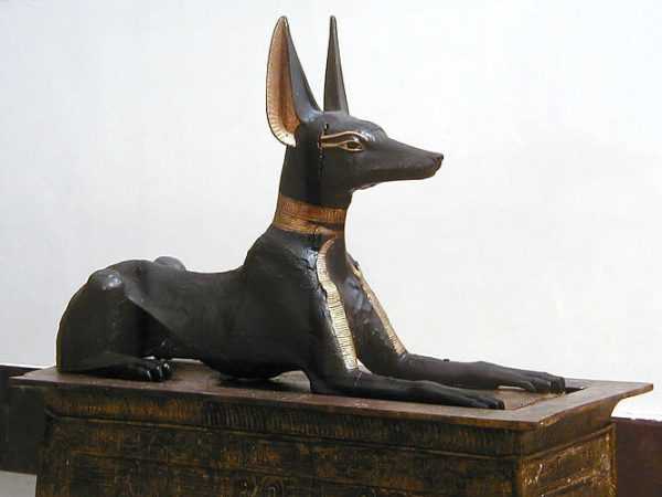 Tutankhamun_jackal