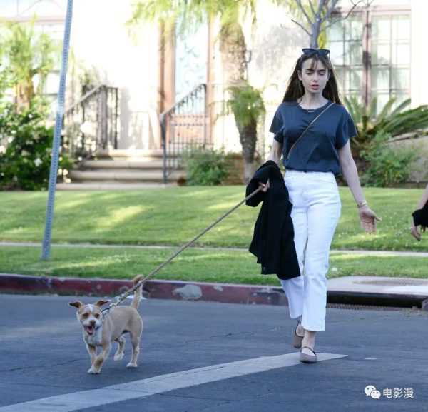 街拍丨莉莉·柯林斯和好友在西好莱坞外出遛狗-插图5