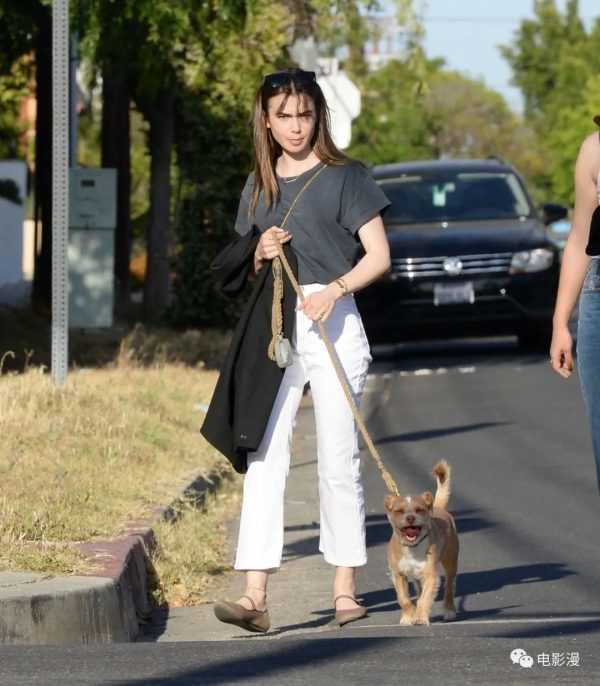 街拍丨莉莉·柯林斯和好友在西好莱坞外出遛狗-插图9