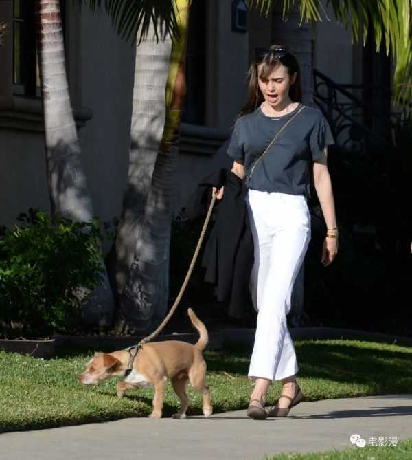 街拍丨莉莉·柯林斯和好友在西好莱坞外出遛狗-插图11