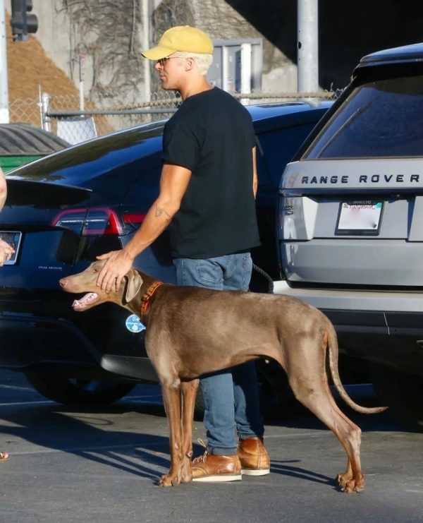 街拍丨瑞恩·高斯林带着狗狗外出散步，还当街给了狗狗一个亲亲-插图6