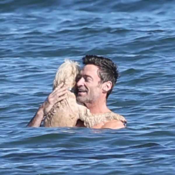 休叔又抱着狗子一起去游泳了，真的很宠缩略图