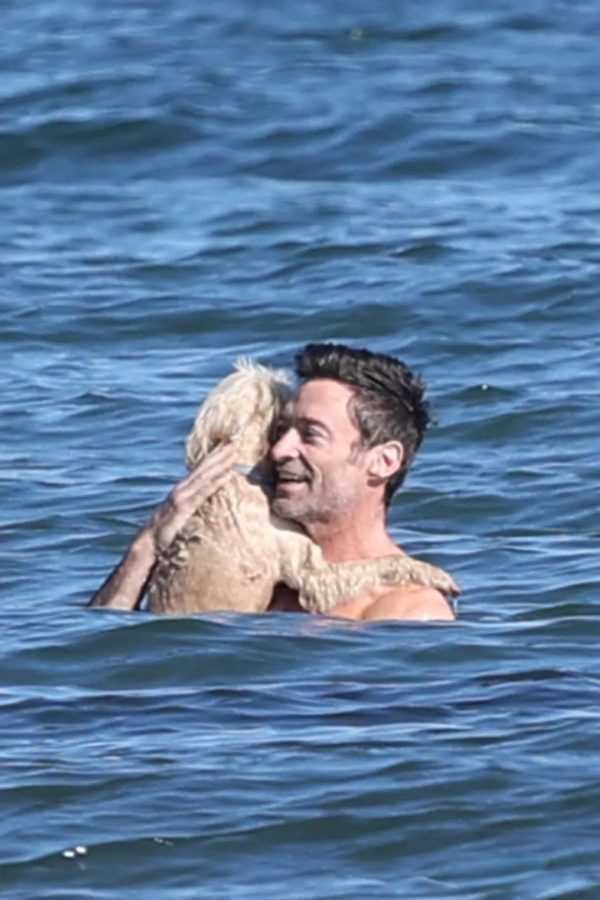 休叔又抱着狗子一起去游泳了，真的很宠-插图