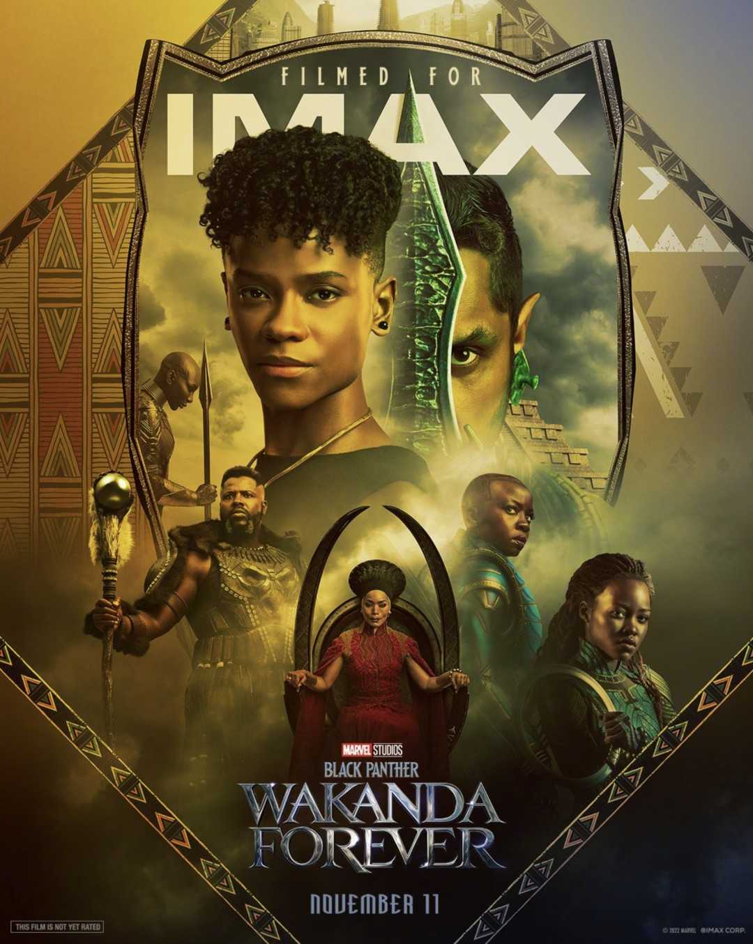 漫威影业《#黑豹2：瓦坎达万岁#》发布 IMAX、杜比影院、RealD、ScreenX、4DX海报 ​​​-插图