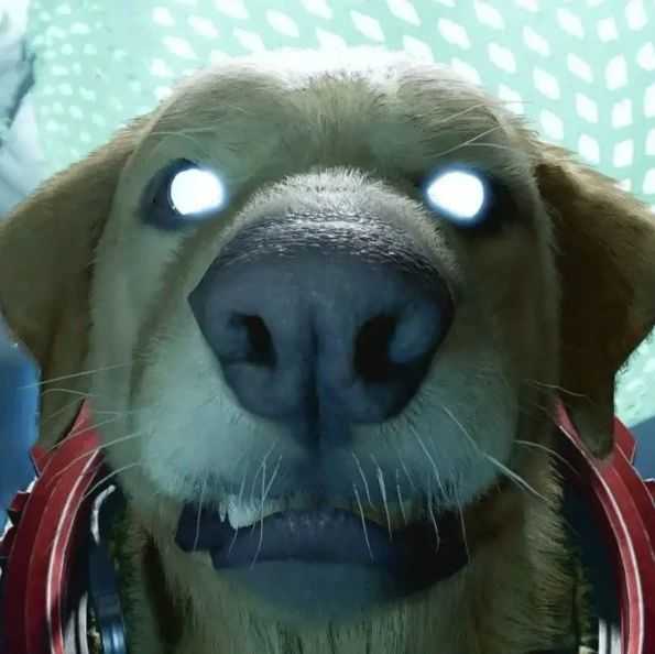 太空狗科莫斯在漫威电影《银河护卫队：圣诞特别篇》的能力可不简单！缩略图