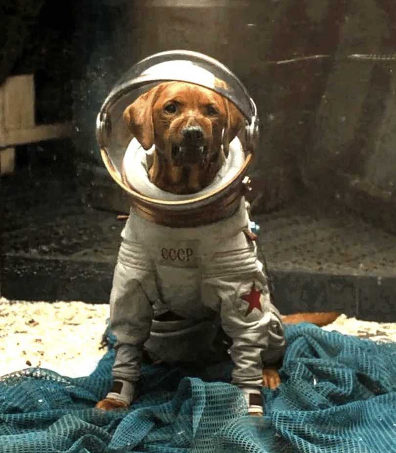 太空狗科莫斯在漫威电影《银河护卫队：圣诞特别篇》的能力可不简单！-插图