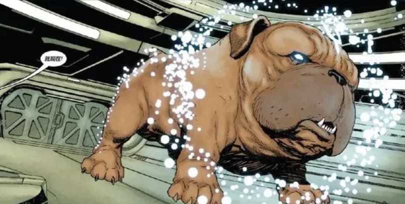 《银河护卫队》中多了一个“宇宙犬”？漫威的宇宙中，还有很多的动物角色！-插图4