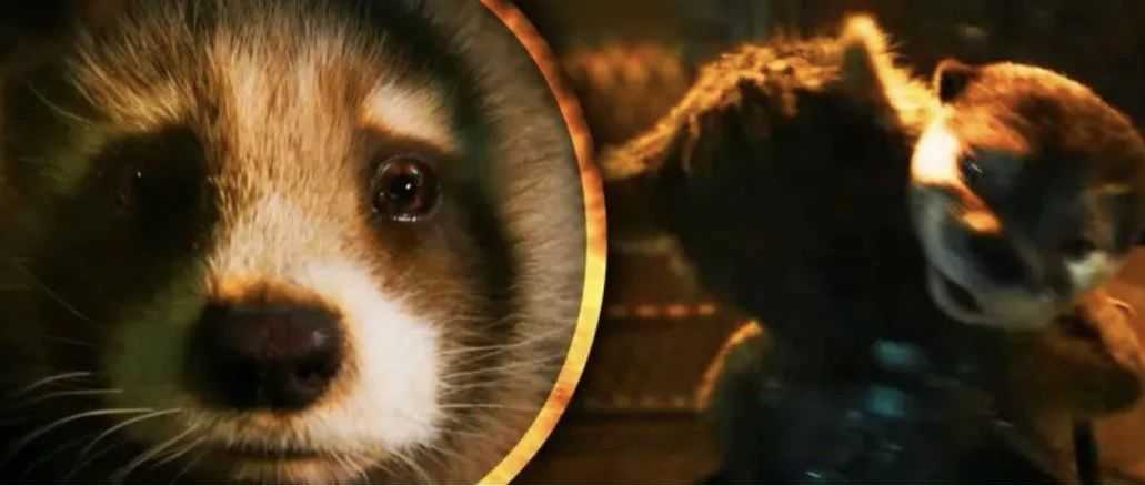 泪目！火箭浣熊的死期到了，盘点漫威电影《银河护卫队3》预告片的九大细节！缩略图