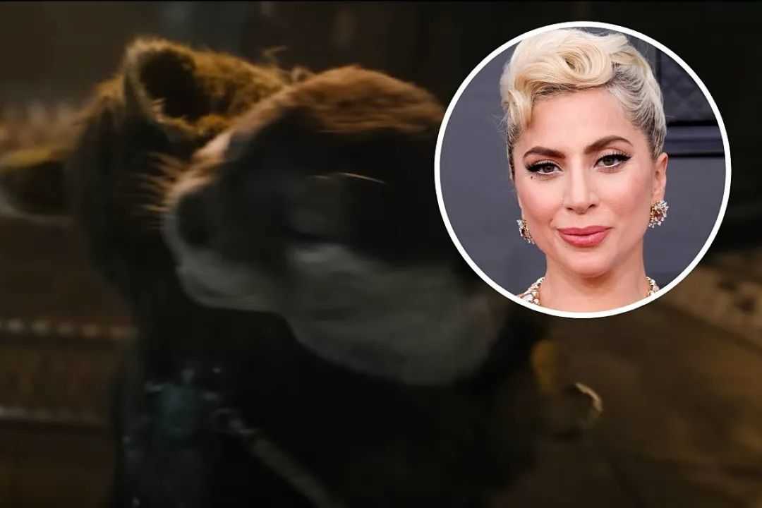 不是Lady Gaga为火箭浣熊的女友配音-插图1