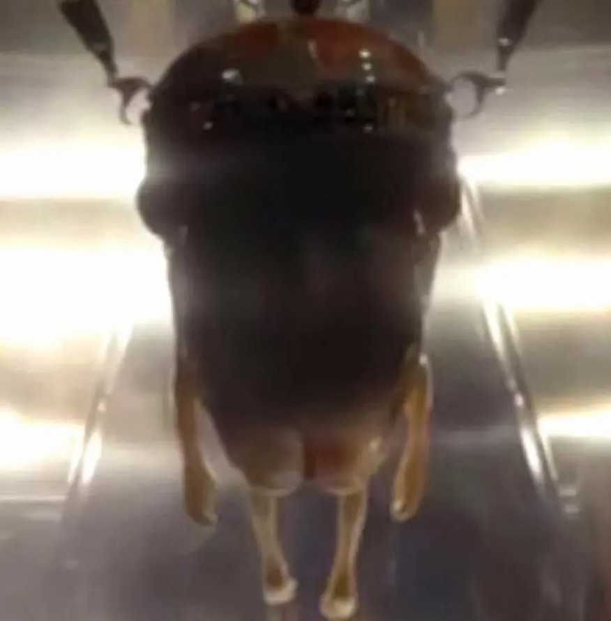 《蚁人3》因少儿不宜遭到警告，都怪魔多克的屁股-插图2