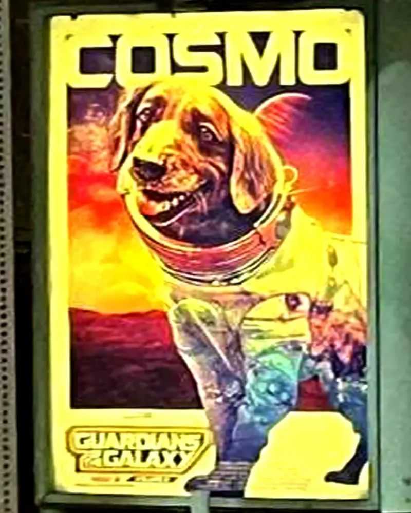 《银河护卫队3》角色海报曝光，德拉克斯疑似致敬日本文化，航天狗是女生-插图4