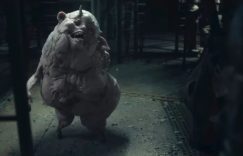 滚导为《银河护卫队3》中实验室怪物配音,楚克伍迪·武撸狗照片曝光缩略图 滚导为《银河护卫队3》中实验室怪物配音,楚克伍迪·武撸狗照片曝光缩略图