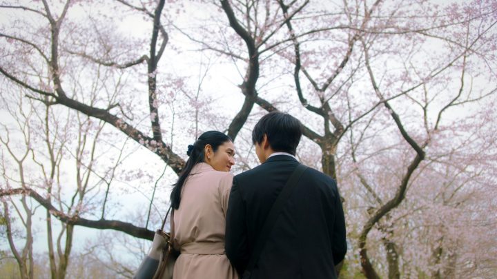 日本电影《风临樱花开》百度云网盘资源【1080P高清版】在线观看-1