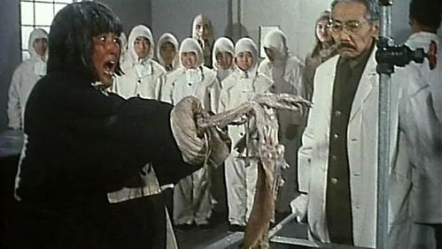 大规模争议！《黑太阳731》拍摄过程引发人道主义争议，甚至波及导演外甥女，涉及杀猫、焚鼠等极度残忍行为-1