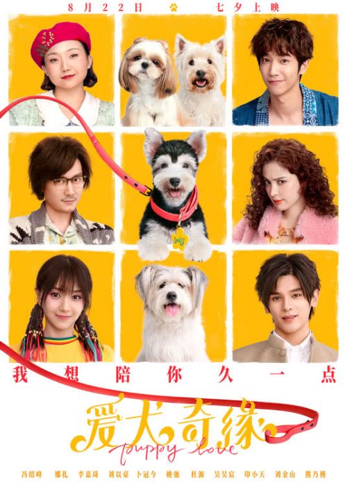 电影《爱犬奇缘》下载[HD1080p高清中字]百度云网盘资源分享-1