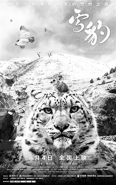 探寻雪豹的足迹：《雪豹和她的朋友们》为保护伞下的自然之美-1