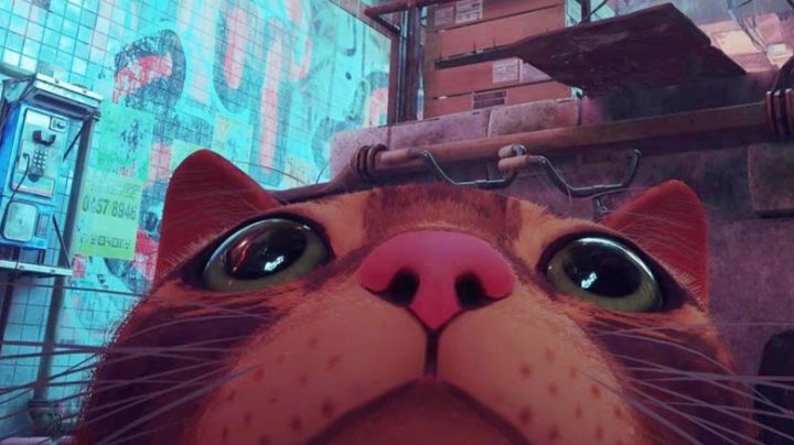 《Stray》：从猫科幻视频游戏到动画电影的奇幻之旅-1