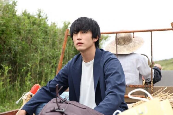 【剧评】《元气囝仔》：还原度极高的漫改日剧，杉野遥亮主演，带来治愈系岛屿故事-2