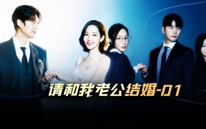韩剧《请和我的老公结婚》1-16全集百度云网盘在线免费观看[1080p-MP4高清]资源下载-1