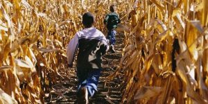 斯蒂芬·金经典小说《玉米田的小孩》是根据一个真实故事改编的吗？缩略图