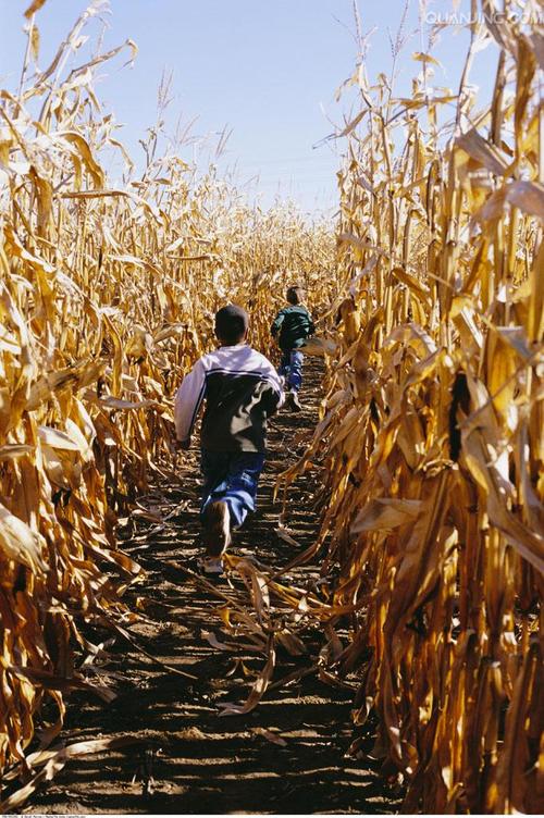 斯蒂芬·金经典小说《玉米田的小孩》是根据一个真实故事改编的吗？-1