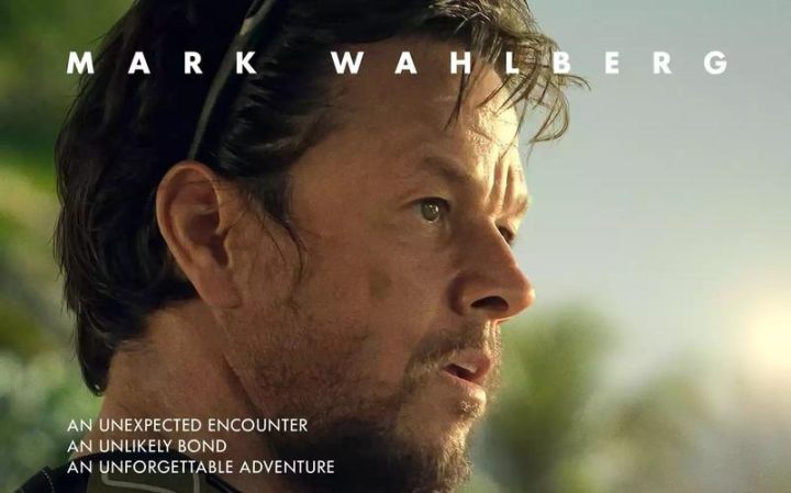 电影《热辣滚烫》在线免费观看【1280P高清】资源下载-插图 电影《热辣滚烫》在线免费观看【1280P高清】资源下载-插图