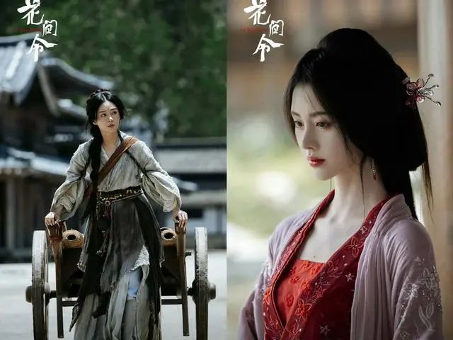 电视剧《花间令》1-32全集百度云网盘资源[BD720p-1080p]在线观看-1