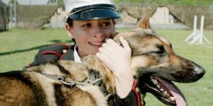 《忠犬》与《战犬瑞克斯》：情感共鸣与忠诚的赞歌缩略图