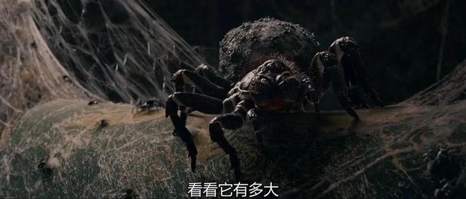 胆小的别点进来，这两部电影可不简单！