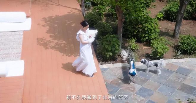 霍思燕43岁身材大变，疑似怀三胎，北京豪宅占地5亩，网友惊叹：真土豪！