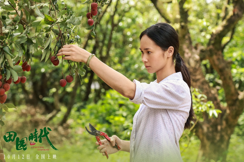 《田园时代》10月12日上映，带你领略茂名乡村的魅力