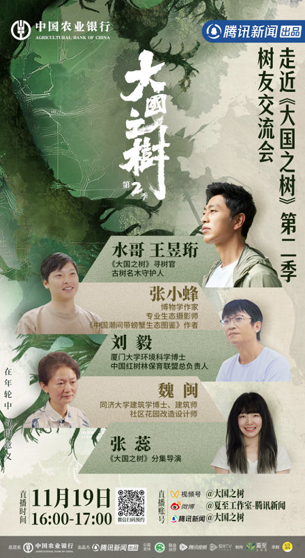 《大国之树2》全集百度云网盘[HD1080p]免费资源下载分享