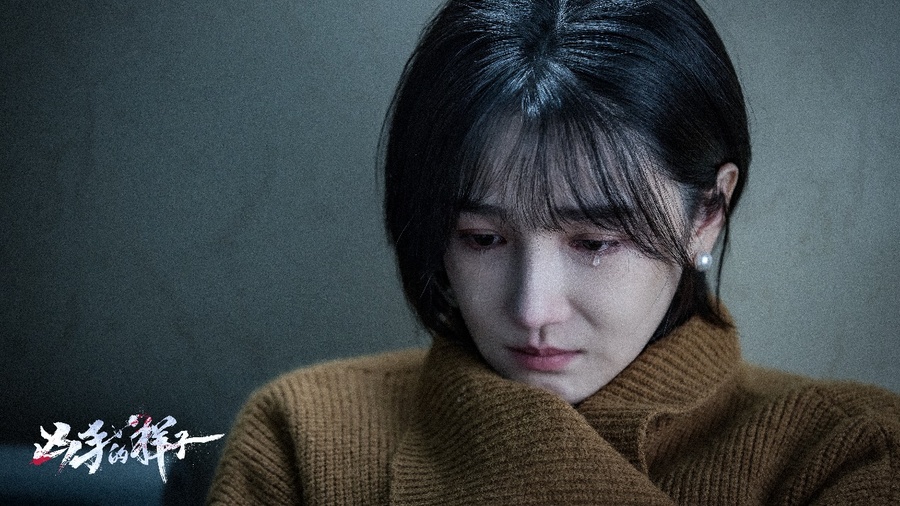 《凶手的样子》在线免费观看百度云[1080p]Mp4