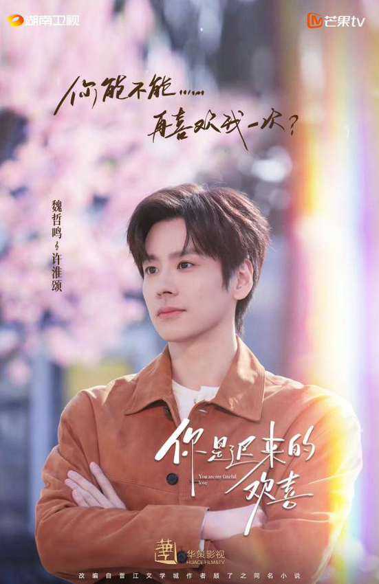 《你是迟来的欢喜》迅雷百度云BT下载[BDHD-MP4MKV]高清网盘资源