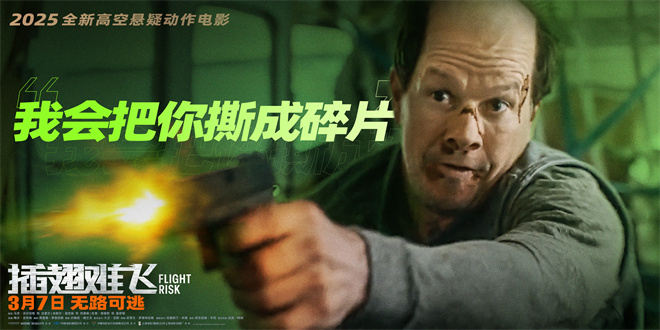 《插翅难飞》百度云在线免费观看【高清1080P】资源下载