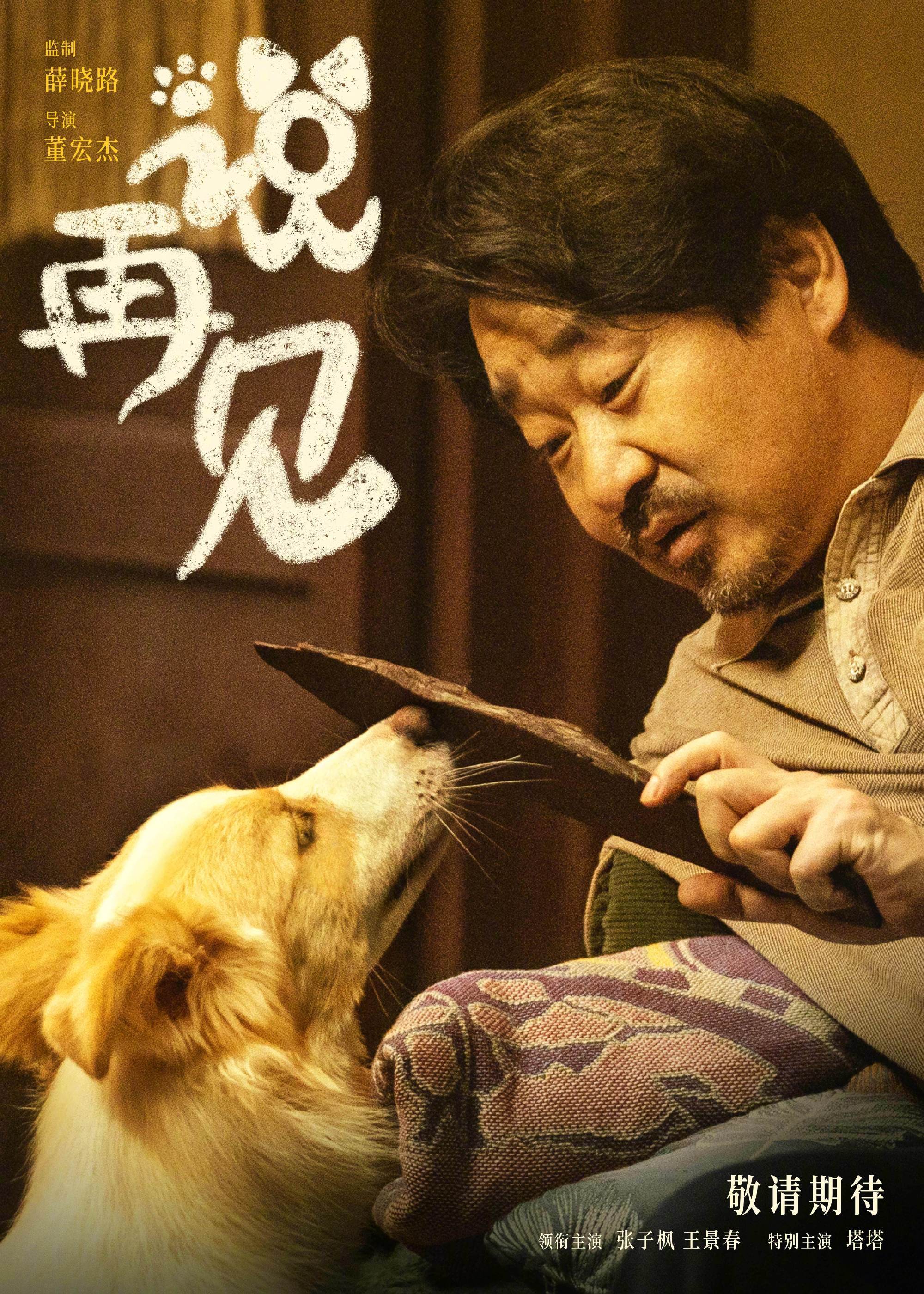 张子枫、王景春、张佳宁主演，《我会好好的》定档啦！