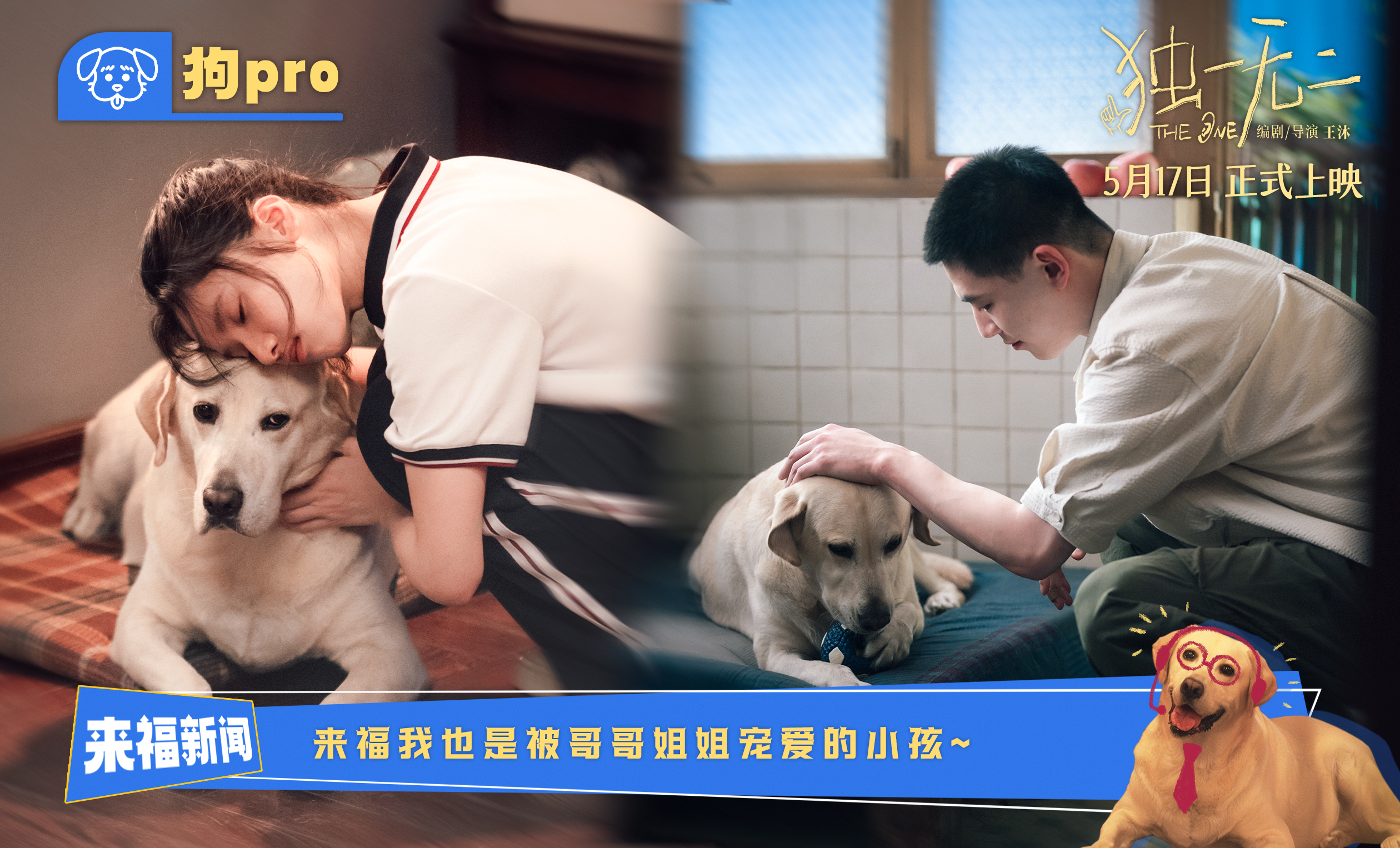 萌犬视角解锁青春密码！《独一无二》曝兄妹恋爱兵法特辑