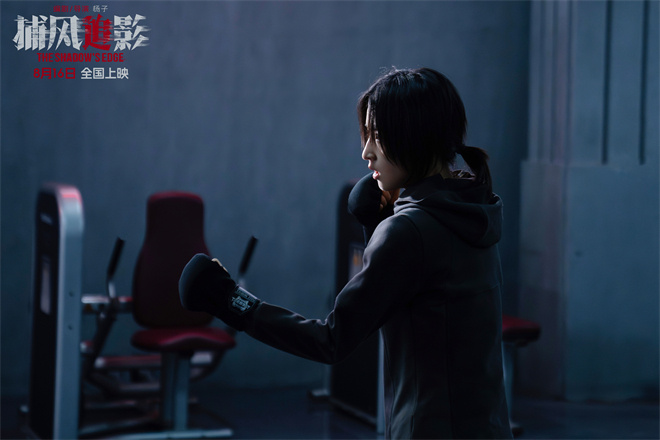 《捕风追影》百度云网盘迅雷BT资源下载[BD720P-1080P中文阿里云盘]
