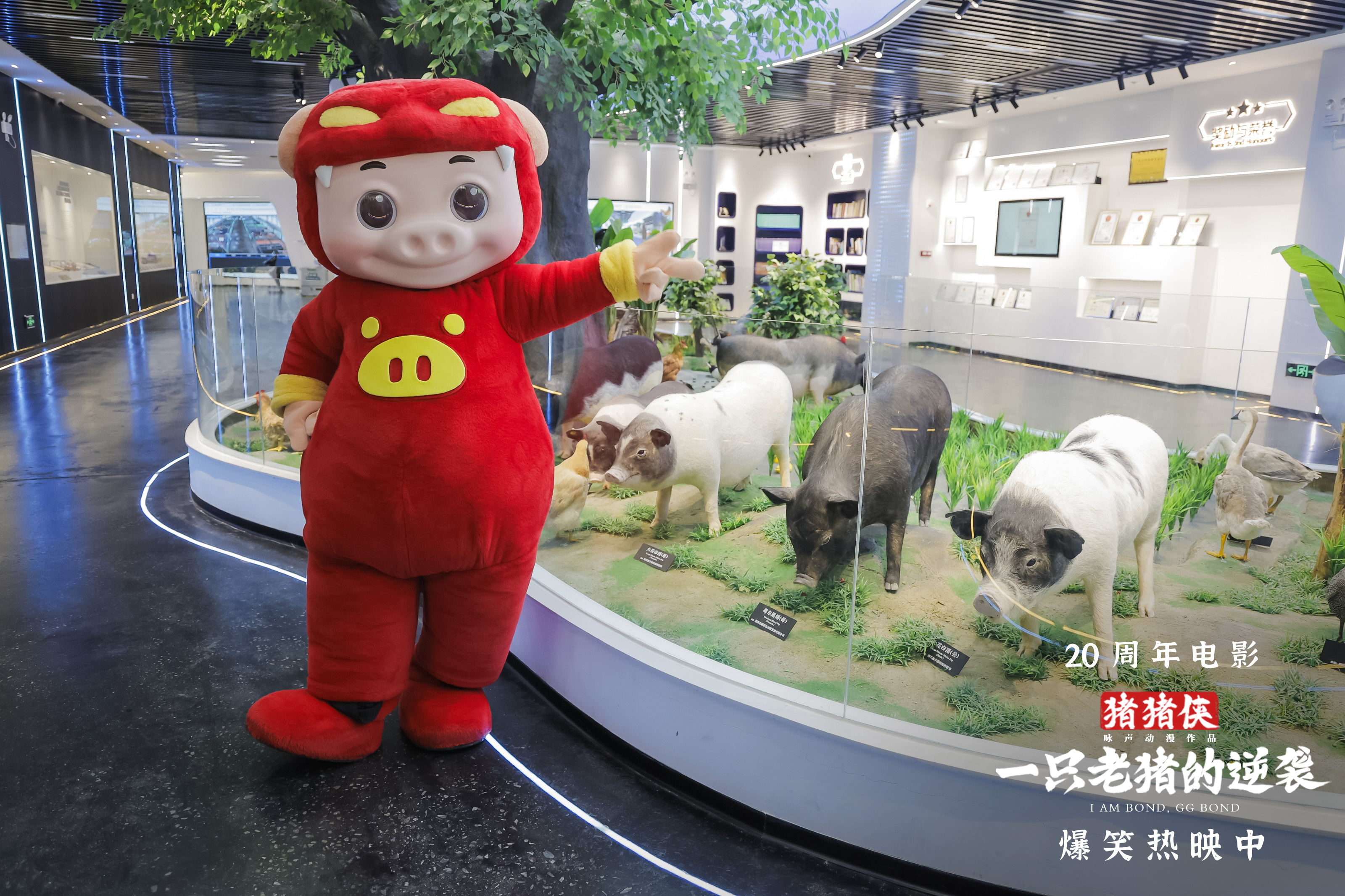 《猪猪侠》新电影今天上映，全家一起乐翻天！