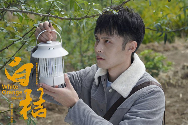 《白桔》百度云网盘资源下载免费/加长版无修版英文版【HD1080P/夸克网盘-MP4】下载