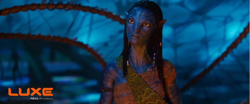 《阿凡达3》百度云【HD1080p高清版本】Mp4资源下载免费插图1 《阿凡达3》百度云【HD1080p高清版本】Mp4资源下载免费