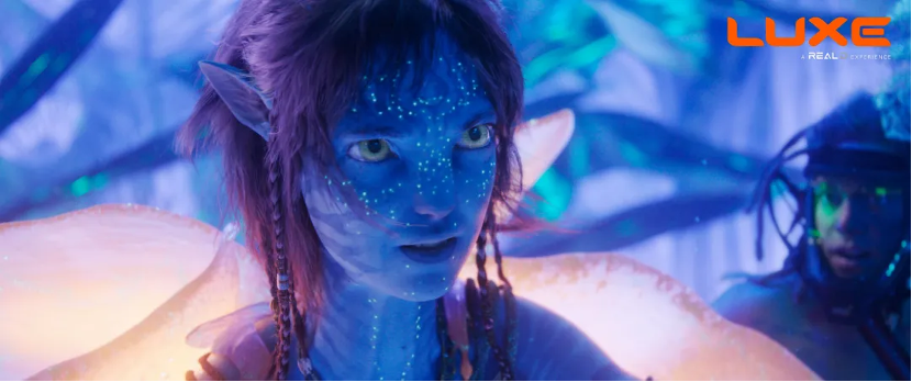 《阿凡达3》百度云【HD1080p高清版本】Mp4资源下载免费插图2 《阿凡达3》百度云【HD1080p高清版本】Mp4资源下载免费