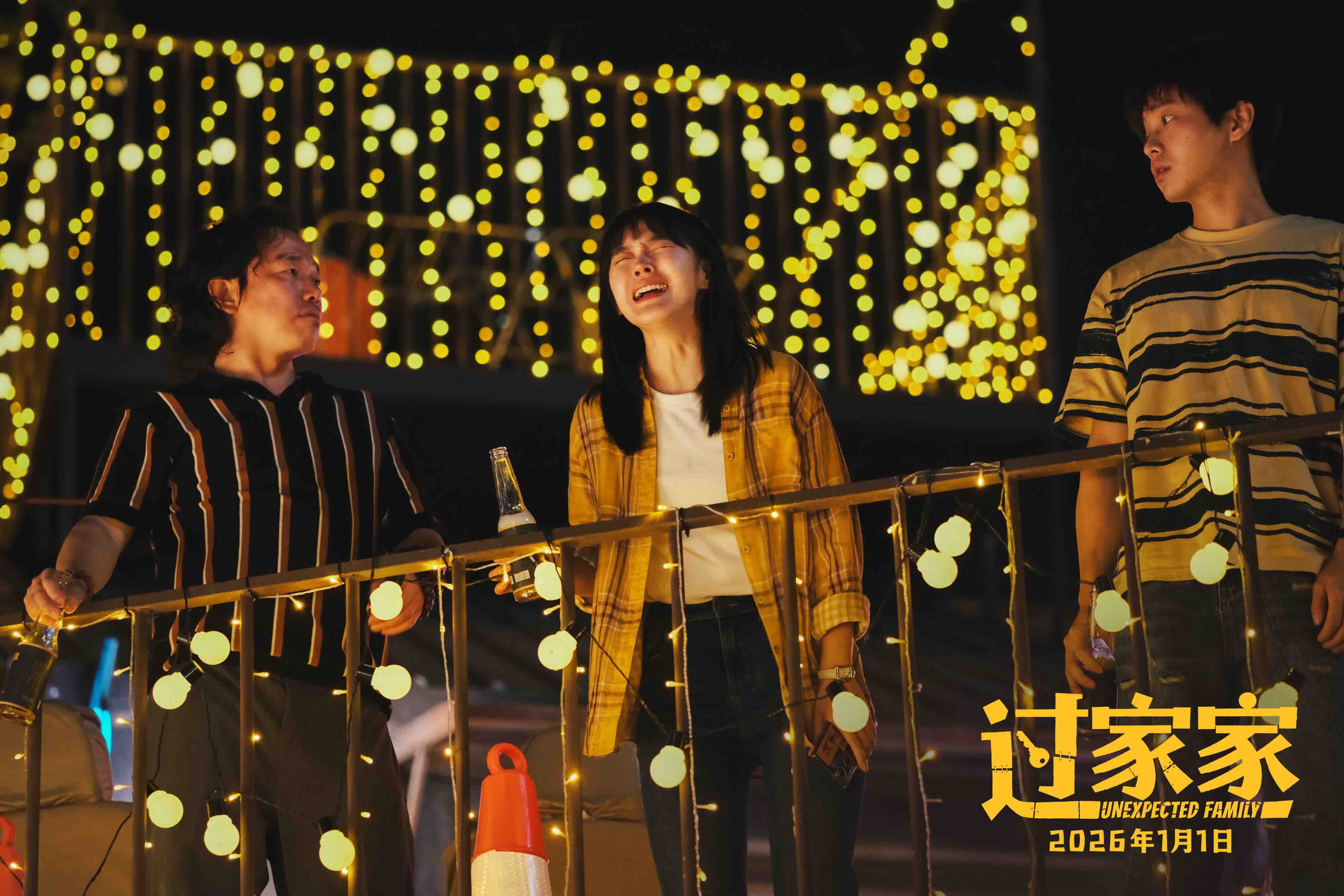 《过家家》百度云网盘【高清1080P】迅雷资源下载